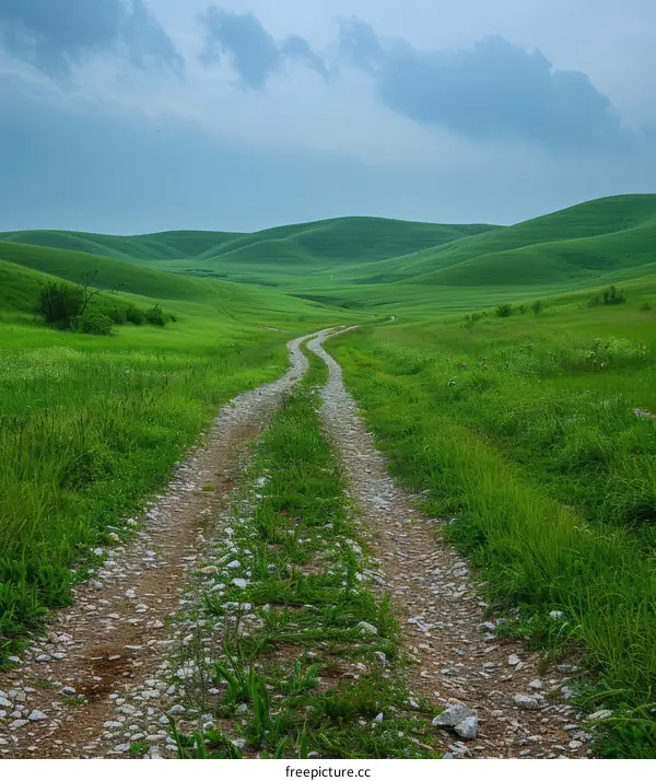 Dirt Path Through Lush Green Hill