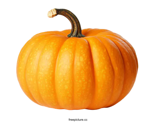 [Transparent Background PNG]Single Orange Pumpkin on White Background