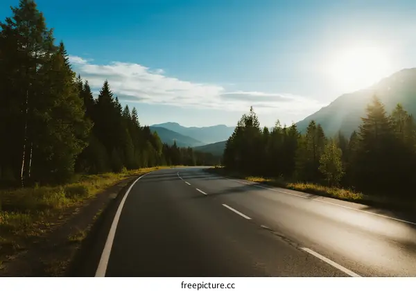 Scenic road surrounded by lush green trees and mountains under clear sky
