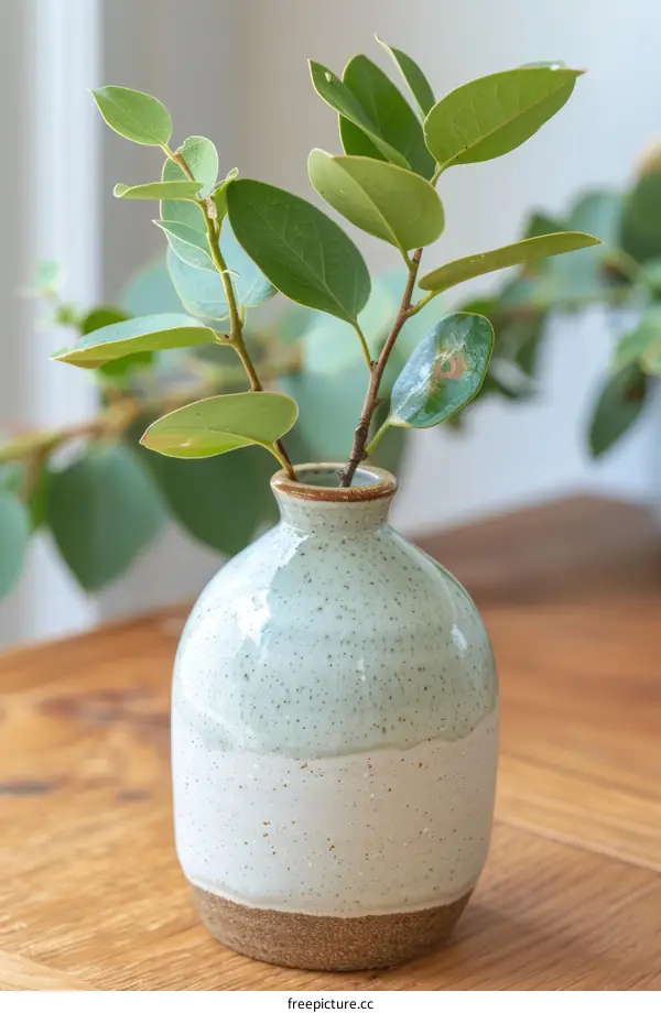 Ceramic Vase with Green Leaves on Wooden Table