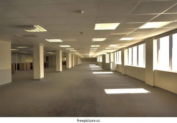 Empty Office Space with Windows and Carpet