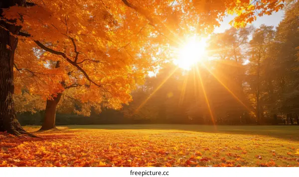 The beauty of autumn