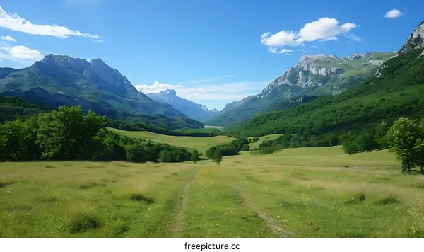 Green Valley Trail in the Mountains