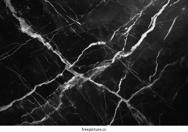 Abstract Black and White Marble Texture Background