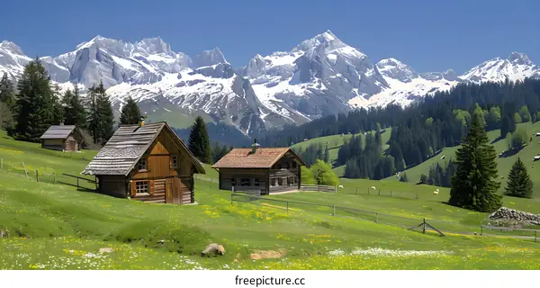 Alpine houses in a lush green mountain valley with snow capped mountains in the distance