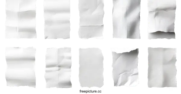 [Transparent Background PNG]Blank Crumpled Paper Pieces Composition