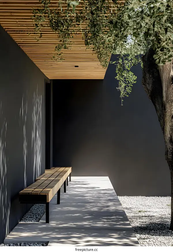 Modern Minimalist House Exterior with Wooden Bench and Tree
