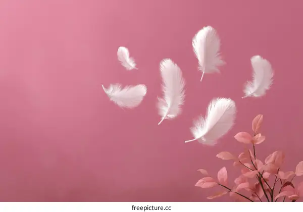 Floating Feathers on a Pink Background
