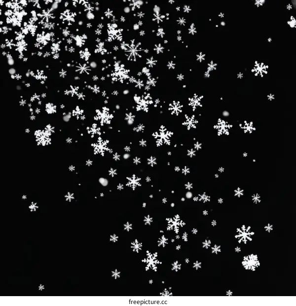 Falling Snowflakes on Black Background Illustration