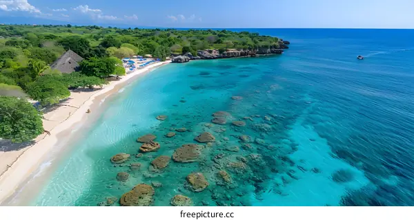 Amazing blue water beach with white sand and green vegetation