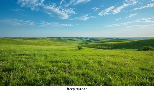 Rolling Green Hills Under Blue Skies and Clouds