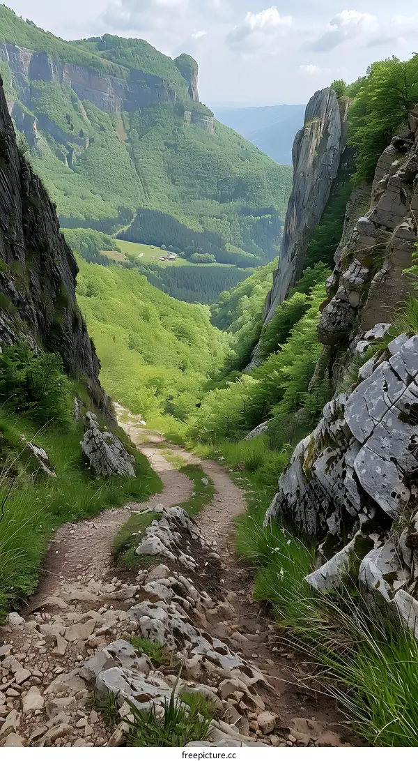 The path through the mountains
