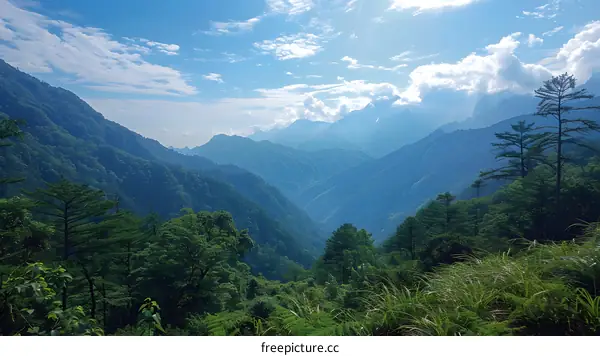 Panoramic view of the majestic mountains and lush green forests