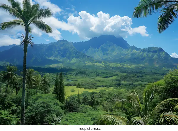 Green mountain range with a valley and palm trees
