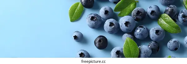 Fresh Blueberries with Leaves on a Light Blue Background
