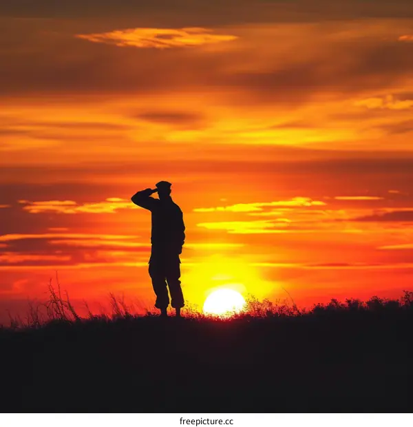 Soldier standing at attention and saluting during sunset