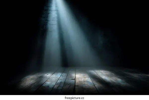 Empty Dark Room with Spotlights and Wooden Floor