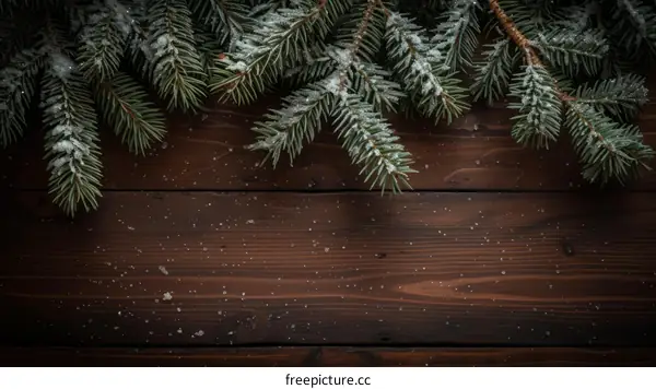 Close-up of snow-covered fir tree branches on a wooden background
