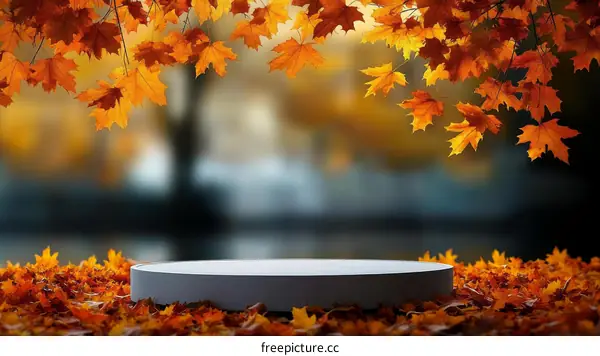 Autumn Leaves Displaying Empty Round Stage
