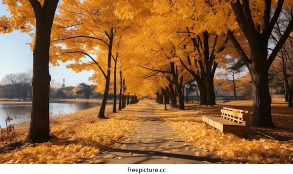 Fall Scenery of Trees by Lake with Bench