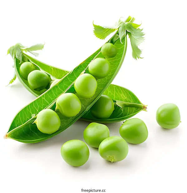 Fresh Green Peas in a Pod
