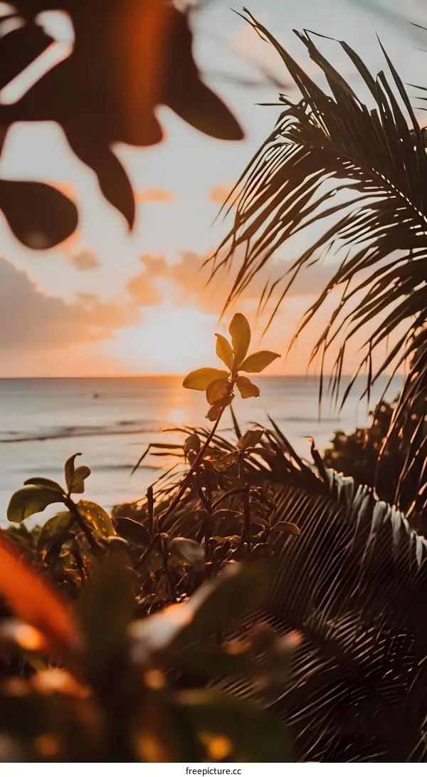 Tropical Sunset Landscape With Ocean View