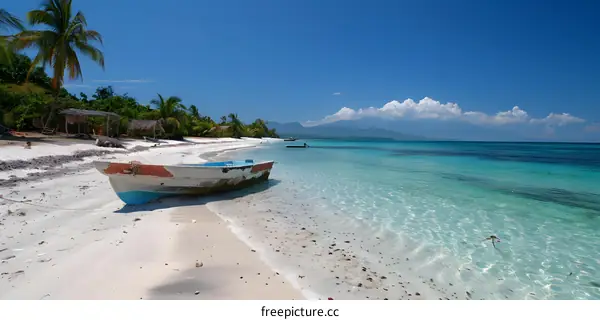 boat on a tropical beach with palm trees and blue water