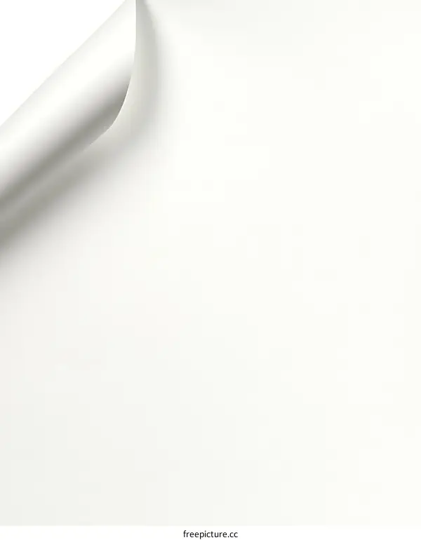 Blank Paper Corner Detail Closeup