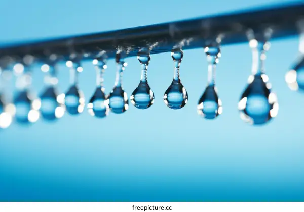 Close-Up Image of Water Droplets on Blue Background