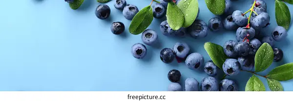 Fresh Blueberries with Leaves on a Light Blue Background