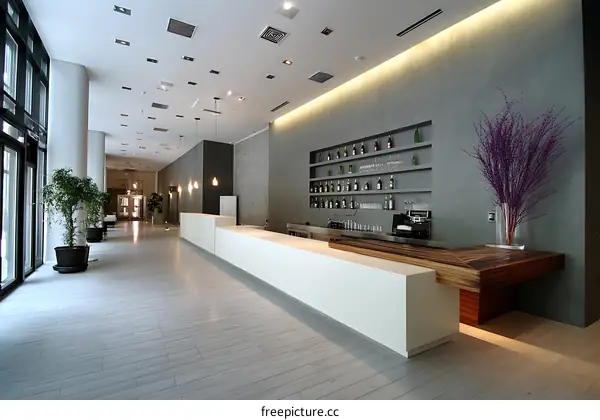 Modern Hotel Lobby Interior Design