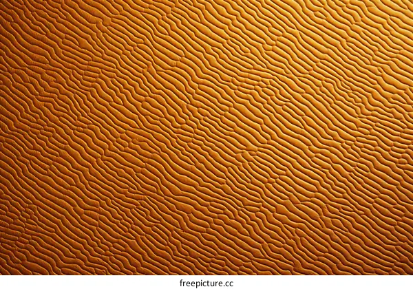 Close-up of sand dunes in the desert