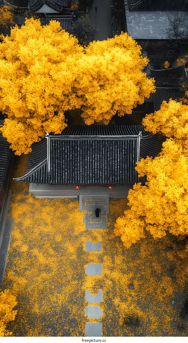 Aerial View of a Chinese Temple with Yellow Leaves