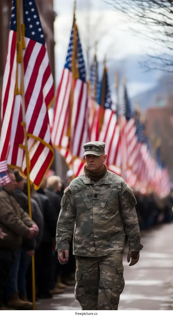 A soldier walking in front of a row of American flags