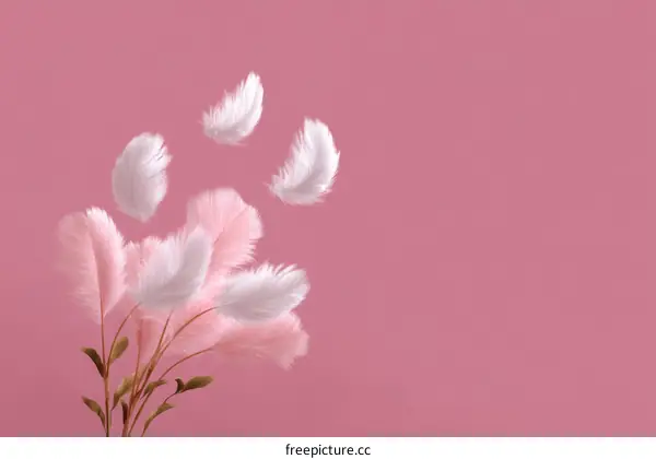 Floating Feathers on a Pink Background