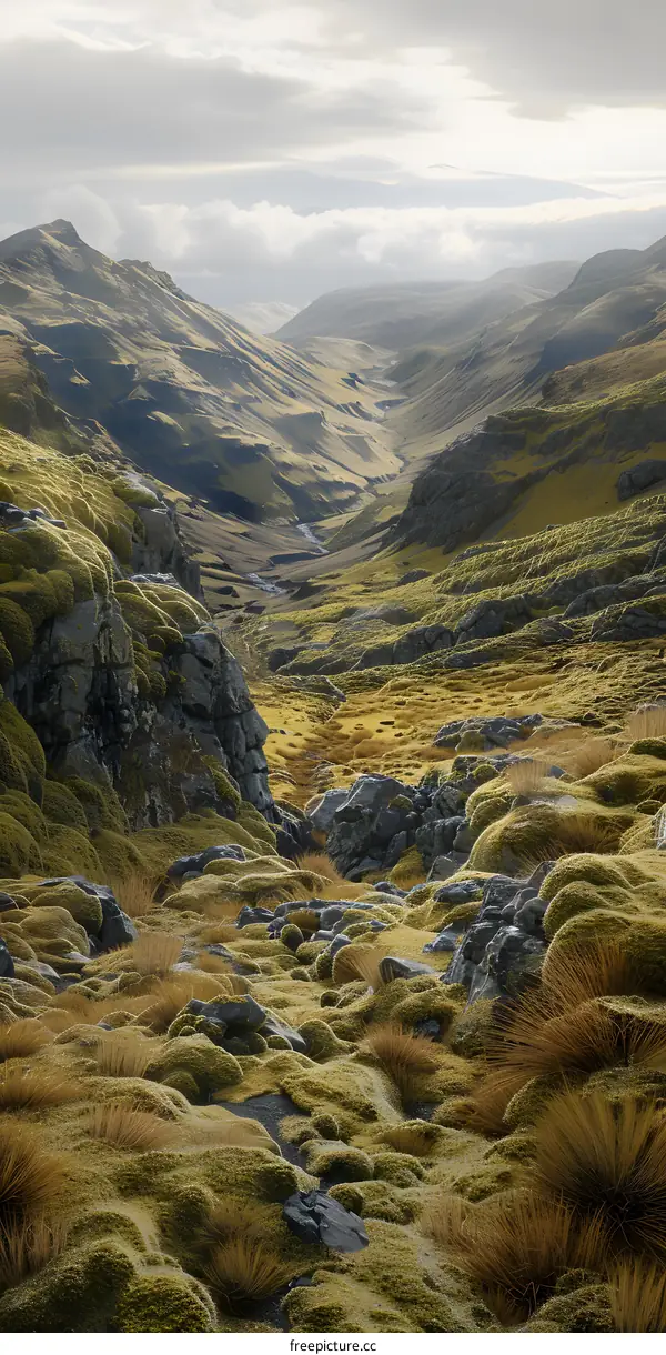 Green Valley and Mountains Landscape Photography