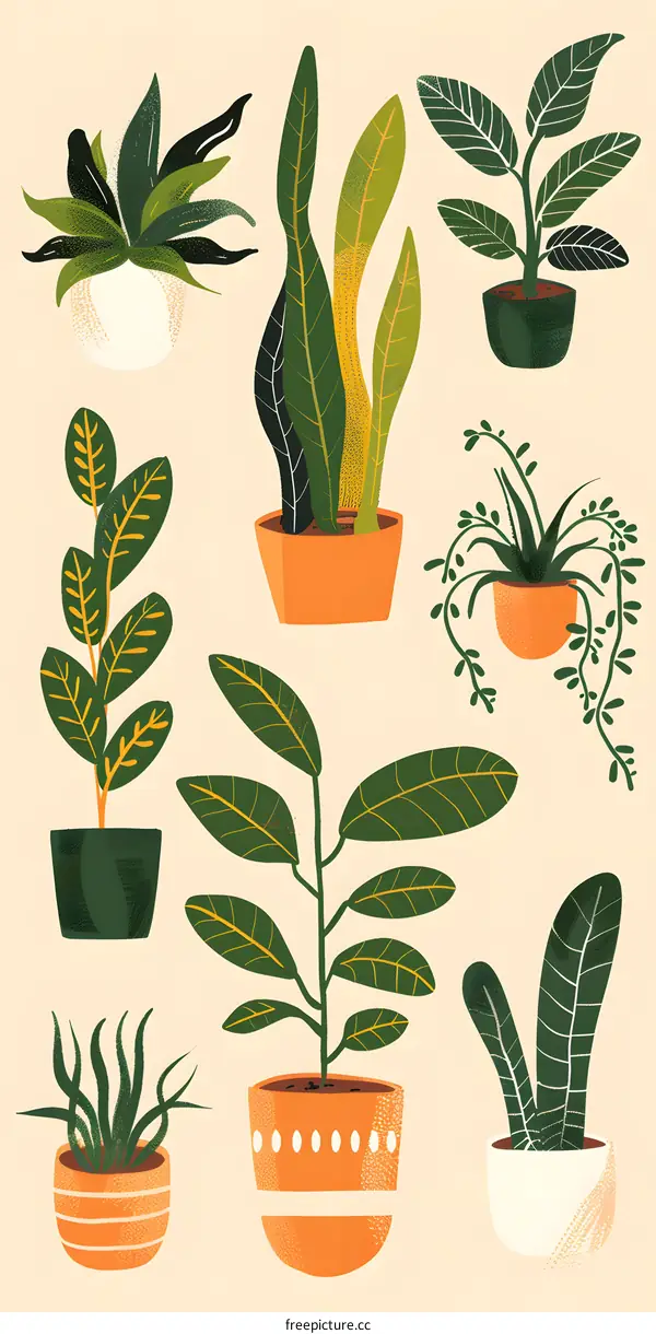 Collection of Hand Drawn Potted Plants Illustration