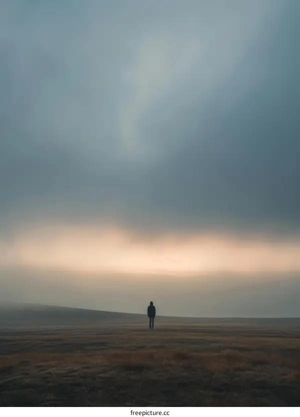 Man standing alone in a vast field under a cloudy sky