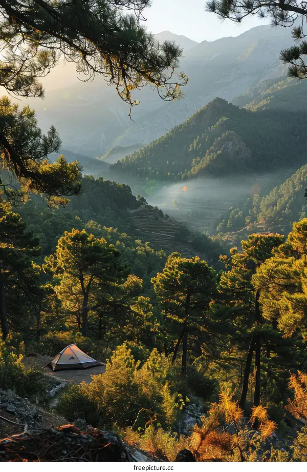 Camping in the mountains with a view of the valley