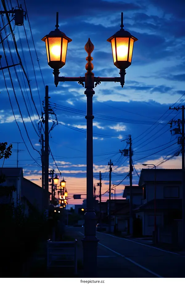 Street lights at dusk in a residential area