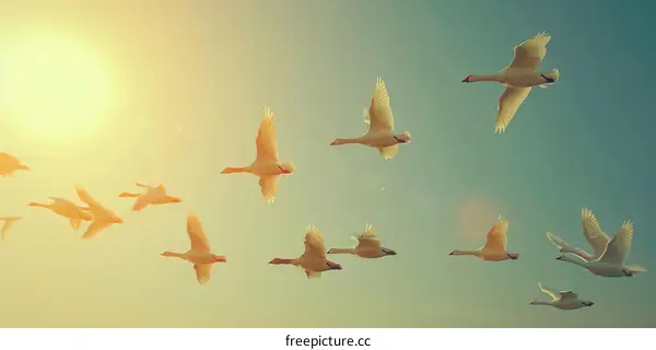 A Flock of Geese Flying in V-Formation