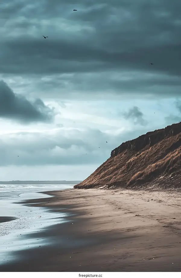Dark Clouds Over Beach and Cliff