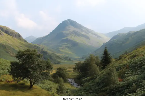 Picturesque Mountain Valley Landscape