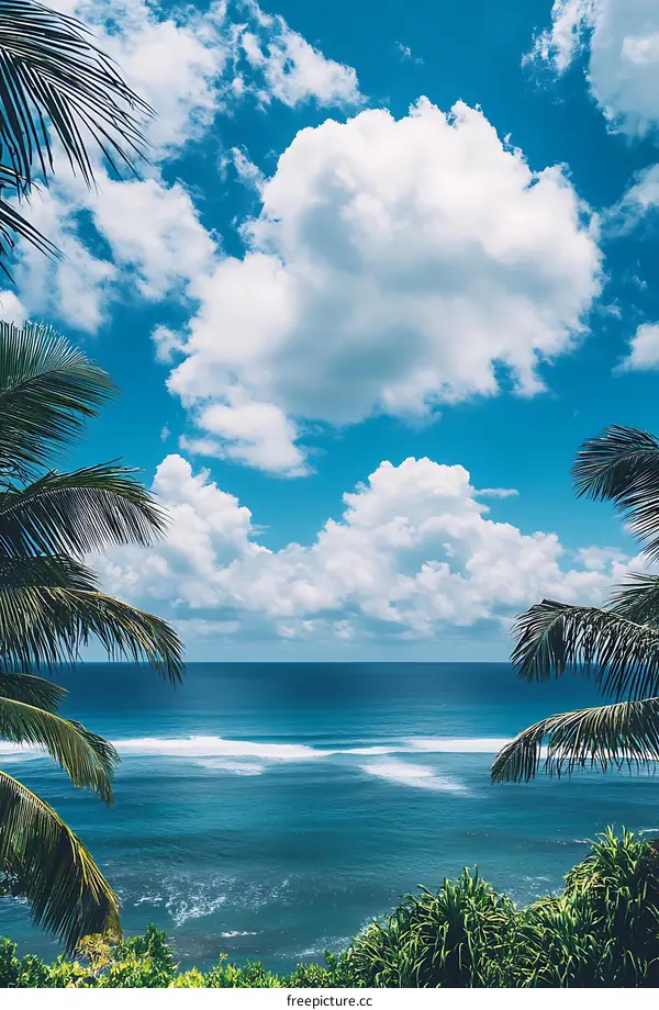 Ocean View with Palm Trees and Blue Sky
