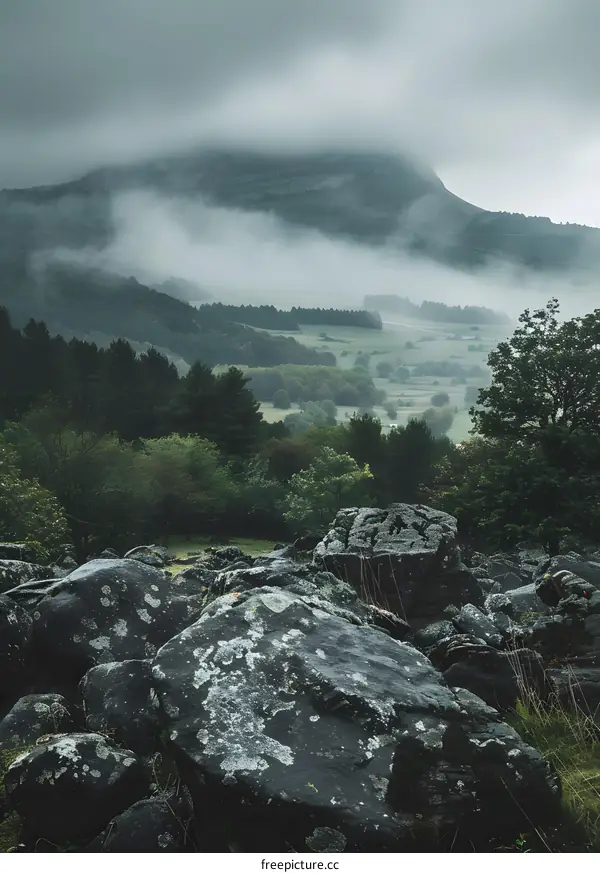 Foggy Mountain View with Rocks