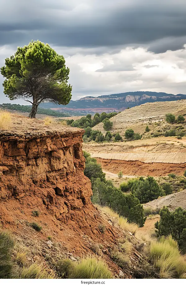 Lone Tree on a Cliff Overlooking a Mountain Valley