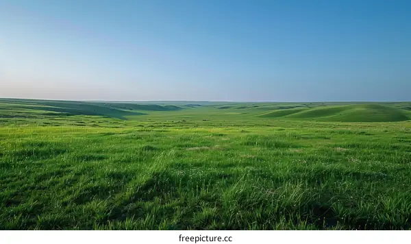 Vast green rolling hills under blue sky