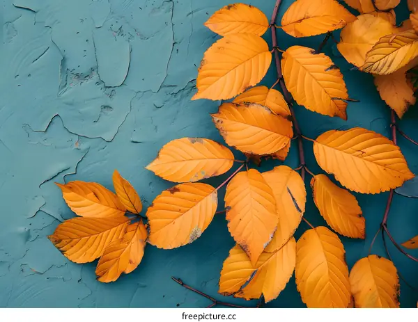 Autumn Leaves on Teal Wall