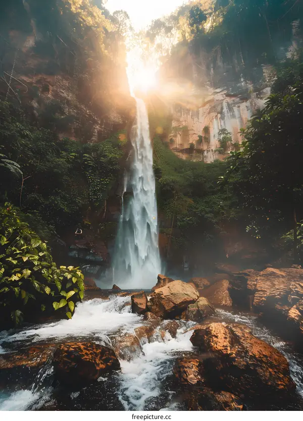 Waterfall in Lush Green Jungle with Sunlight