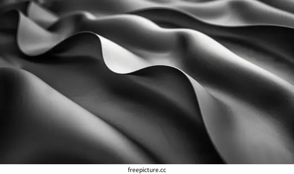 Black and white image of a flowing silk cloth